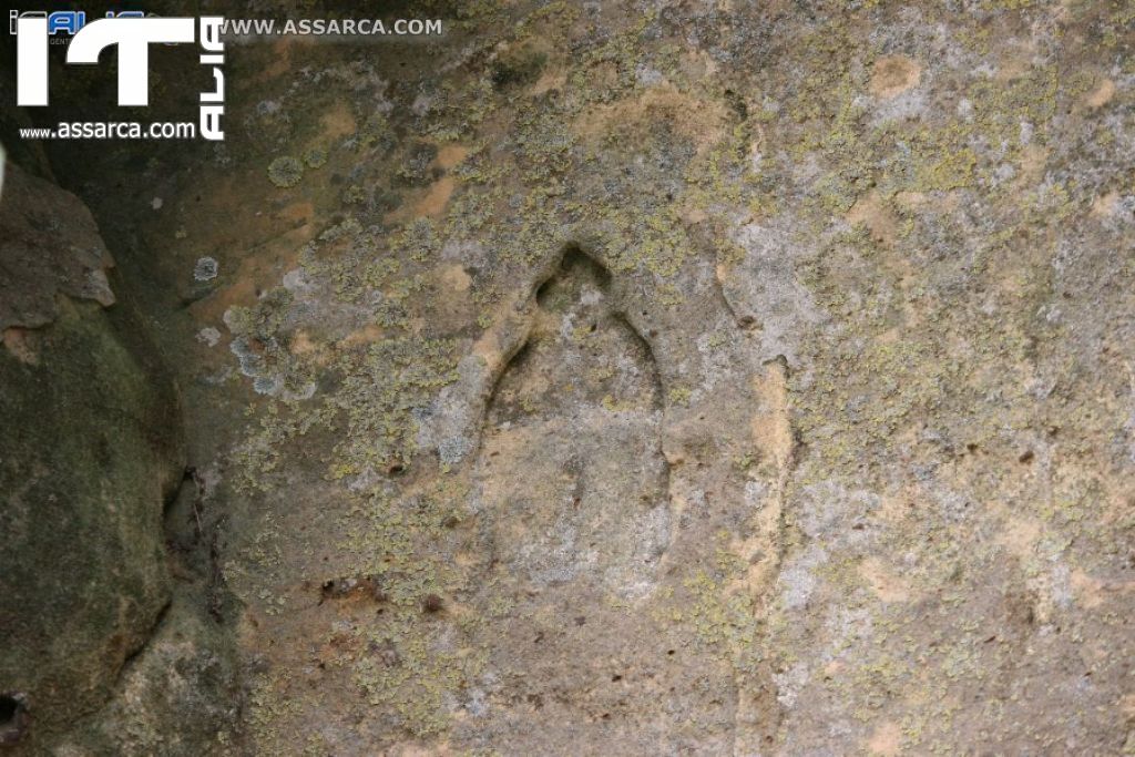 Natura nei pressi delle Tholos della Gurfa (foto di Carlo Iovino), 