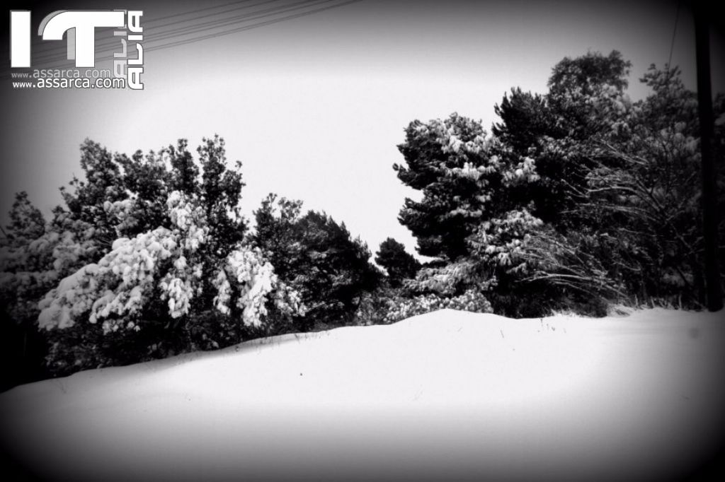 6 Gennaio 2017,la neve ad Alia,da un altro punto di vista,zona Rabatello., 