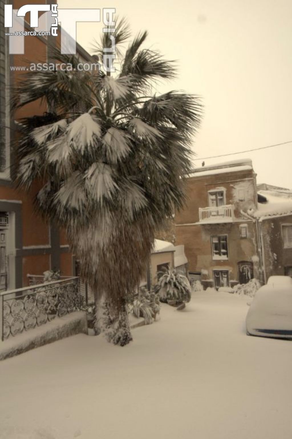 6 Gennaio 2017,la neve ad Alia,da un altro punto di vista,zona Rabatello., 