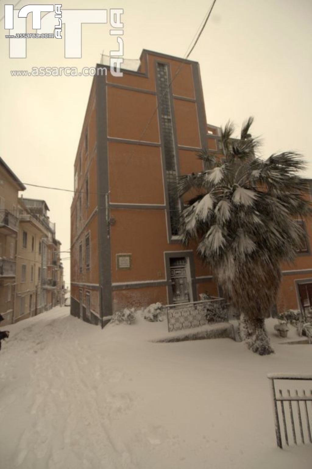 6 Gennaio 2017,la neve ad Alia,da un altro punto di vista,zona Rabatello., 