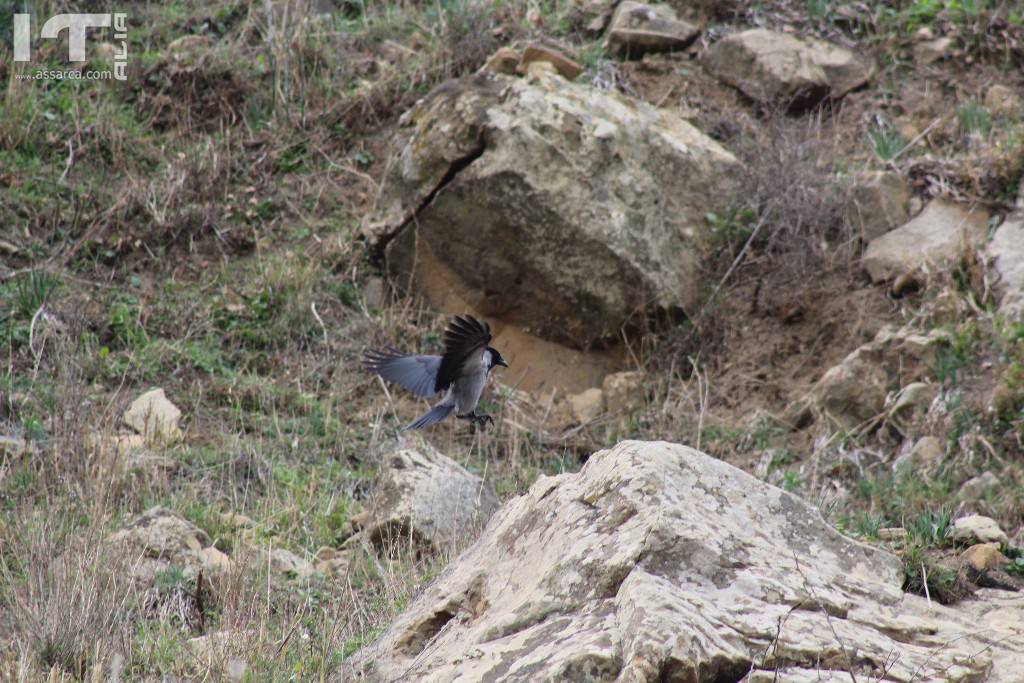 Escursione nel territorio aliese. Foto di repertorio, 