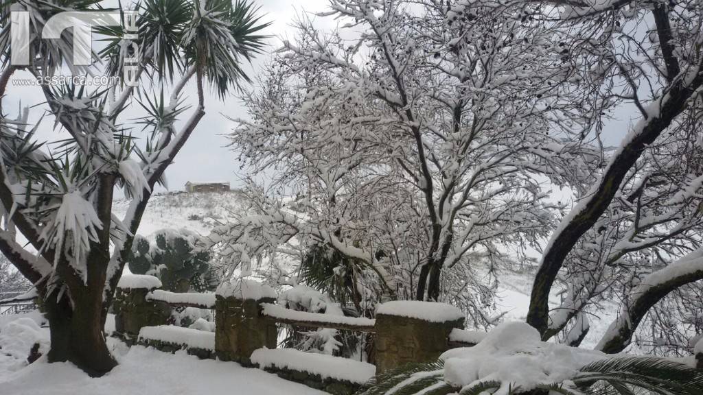 UN PAESAGGIO  D`INCANTO
LA NEVICATA DI GENNAIO 2017
FOTO DI MARIA ROSA SERAGUSA