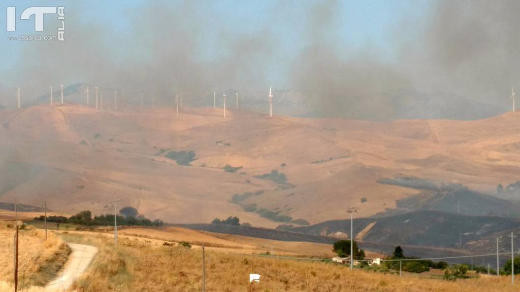 INCENDIO DI UNA LUNGA SERIE, IN QUESTA ESTATE TORRIDA.