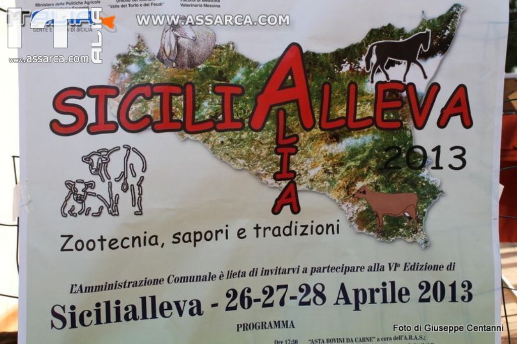 SICILIALLEVA  EDIZIONE 2013