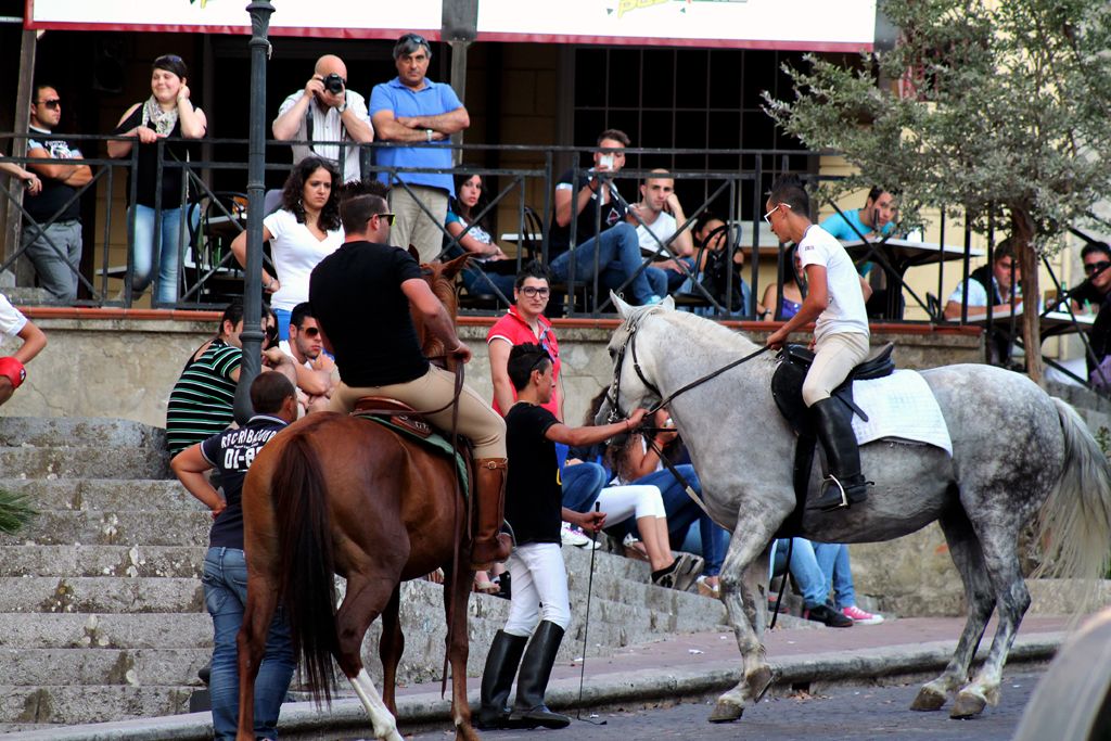 SFILATA DI CAVALLI - ALIA 7 LUGLIO 2013