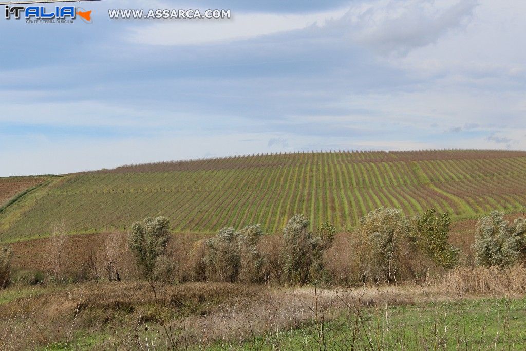 PAESAGGIO SICULO NOVEMBRINO