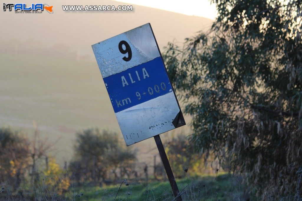 SEGNALETICA TURISTICA