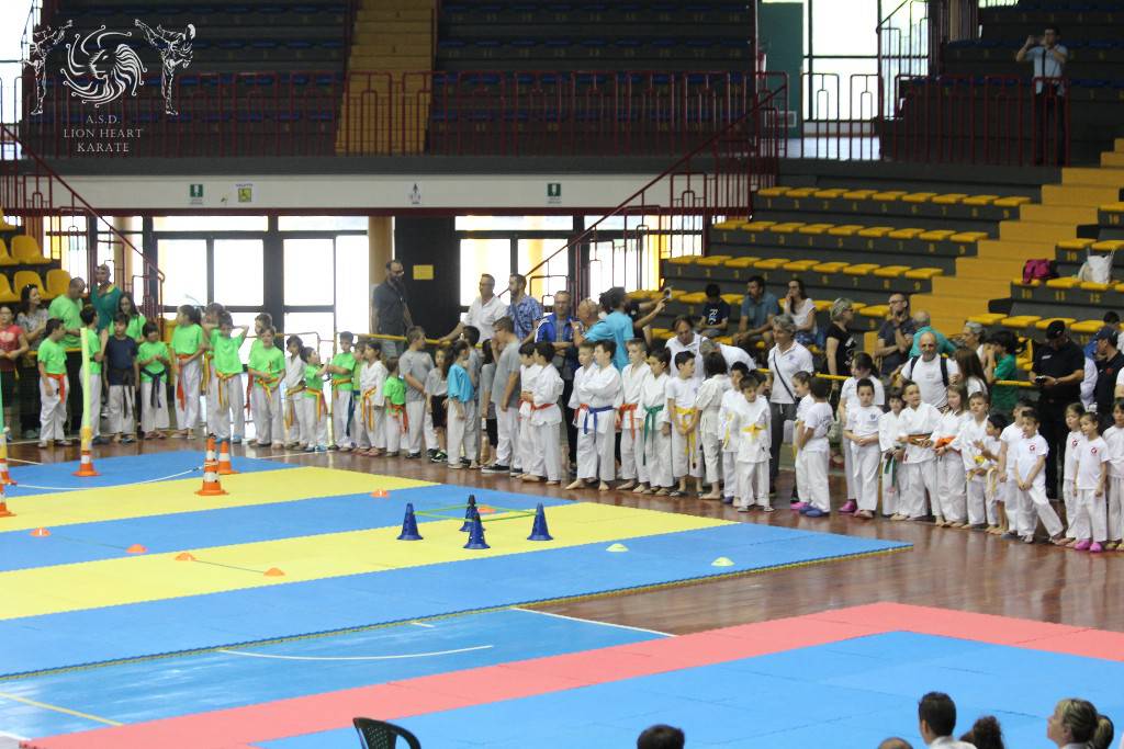 PRIMI SUCCESSI PER GLI ATLETI DELLA LION HEART KARATE DI ALIA, 