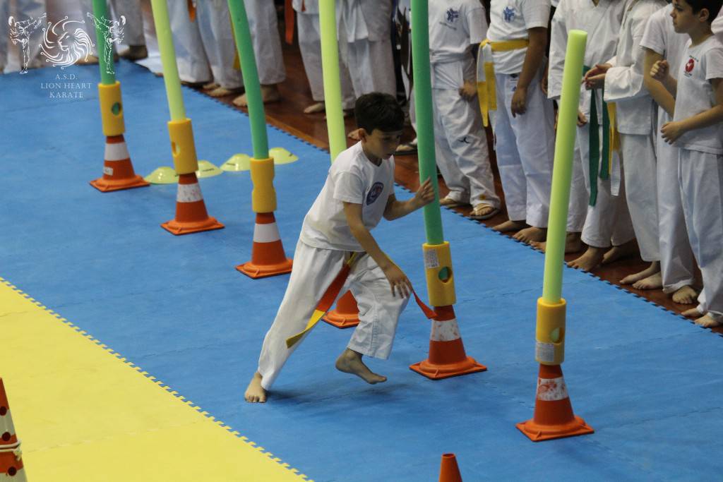 PRIMI SUCCESSI PER GLI ATLETI DELLA LION HEART KARATE DI ALIA, 