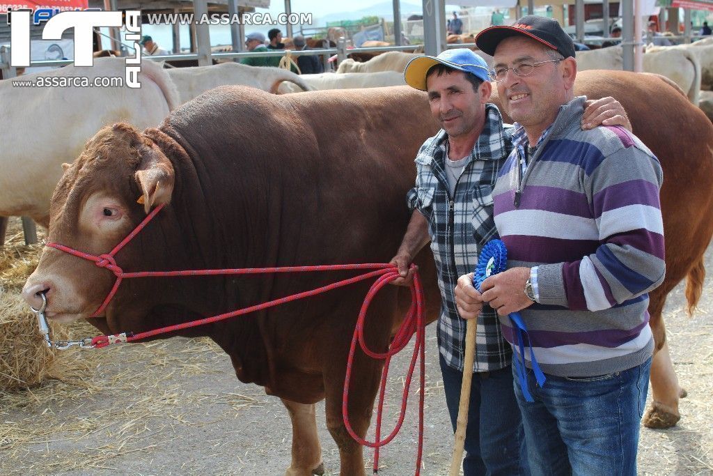 SICILIA ALLEVA 2015 - 25 APRILE