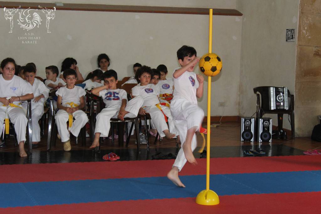 LION HEART KARATE. PRIMA EDIZIONE DEL GRAN PREMIO GIOVANISSIMI 2017, 