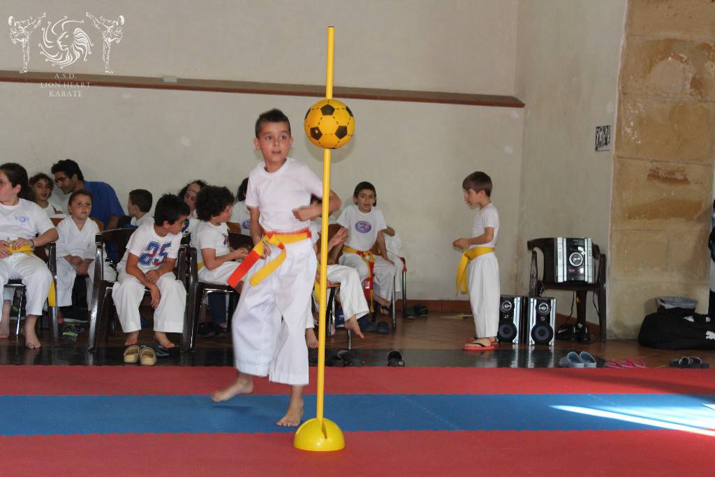 LION HEART KARATE. PRIMA EDIZIONE DEL GRAN PREMIO GIOVANISSIMI 2017, 