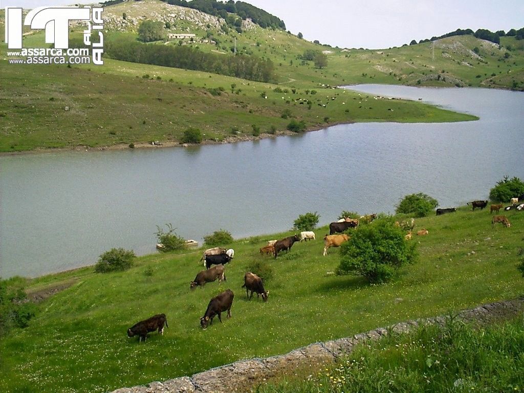 SiciliAntica. Presentazione del Progetto: Una Domenica al Lago, 