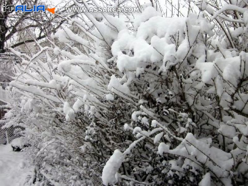 Neve a New York  08 marzo 2013 -, 