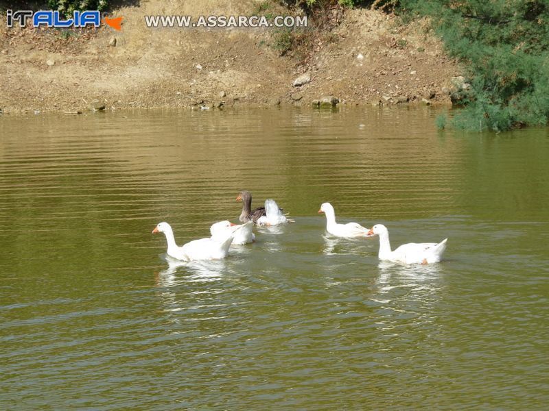 BANCHETTO NUZIALE AL " LAGO VERDE " 30 GIUGNO 2012