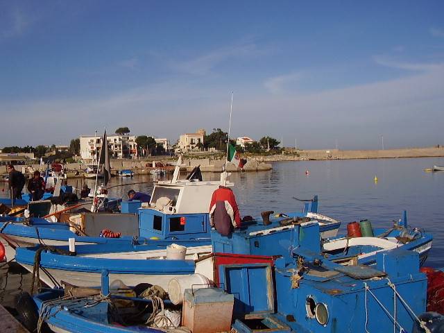 Isola delle Femmine - All`arrivo delle barche il mercato del pesce., 