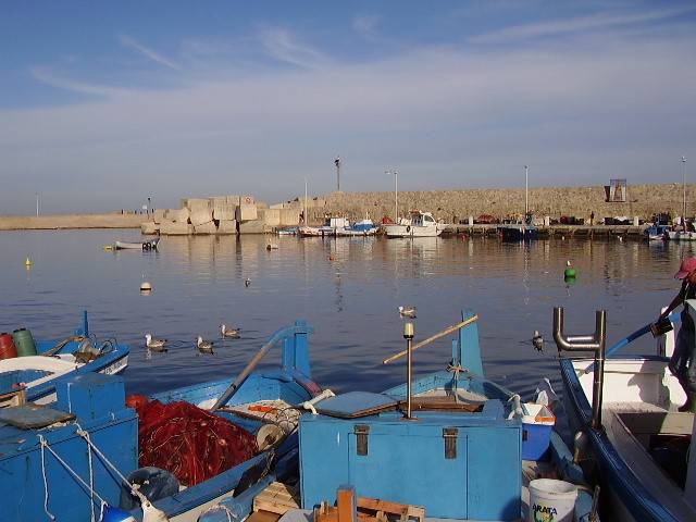 Isola delle Femmine - All`arrivo delle barche il mercato del pesce., 