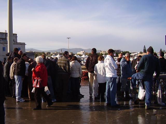 Isola delle Femmine - All`arrivo delle barche il mercato del pesce., 