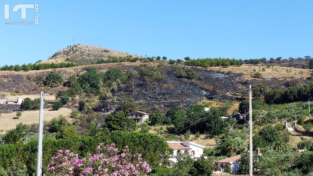  Il territorio Aliese  devastato da un incendio di vaste proporzioni., 