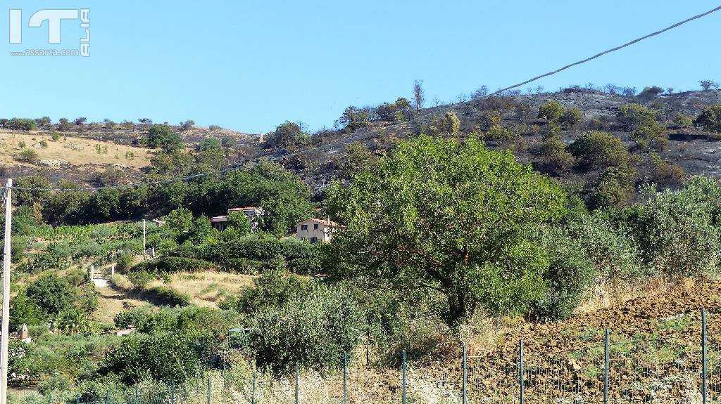  Il territorio Aliese  devastato da un incendio di vaste proporzioni., 