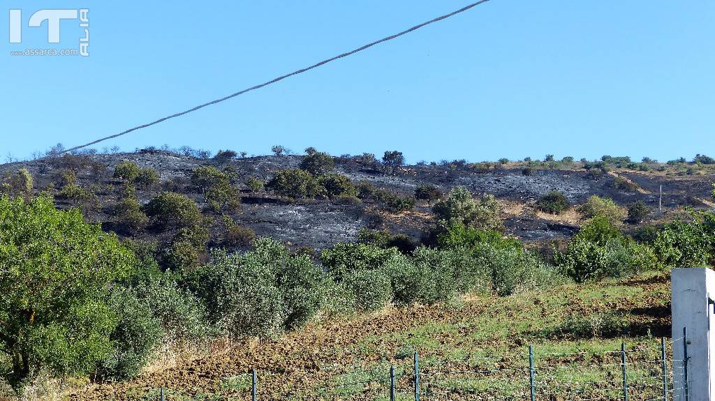  Il territorio Aliese  devastato da un incendio di vaste proporzioni., 