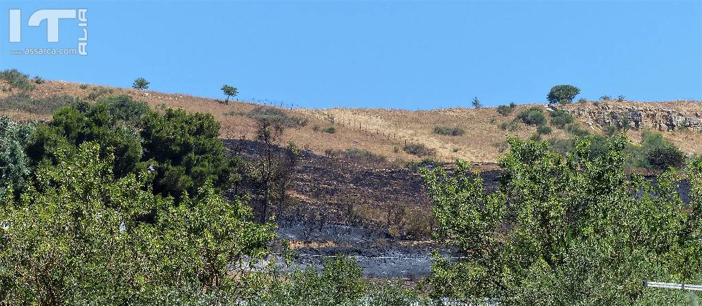  Il territorio Aliese  devastato da un incendio di vaste proporzioni., 