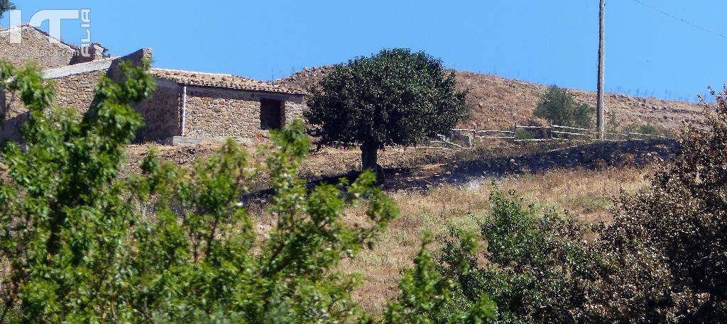  Il territorio Aliese  devastato da un incendio di vaste proporzioni., 