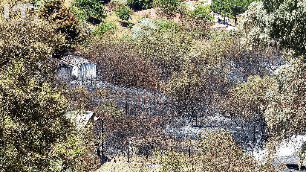  Il territorio Aliese  devastato da un incendio di vaste proporzioni., 