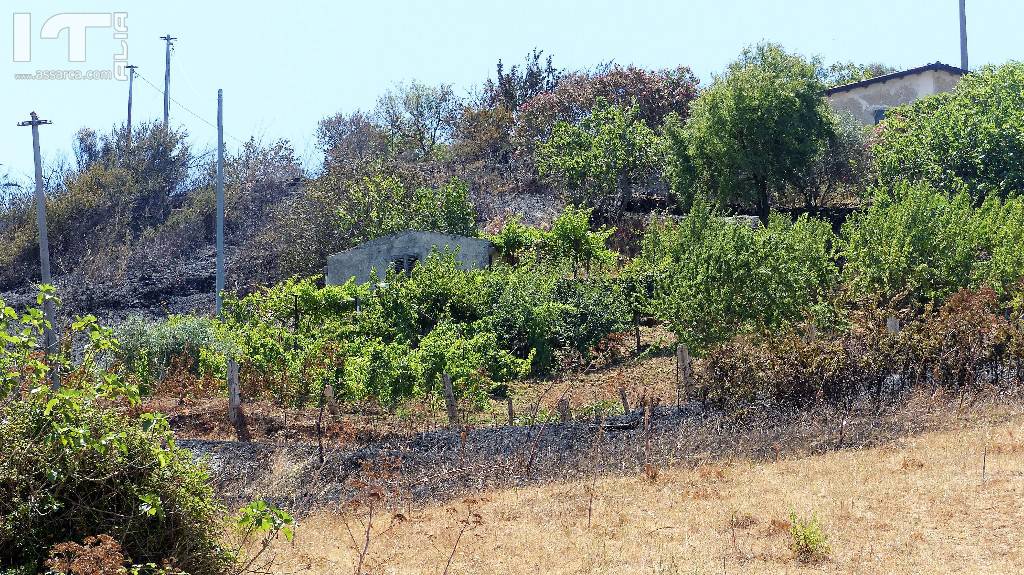  IL TERRITORIO ALIESE  DEVASTATO DA UN INCENDIO DI VASTE PROPORZIONI.