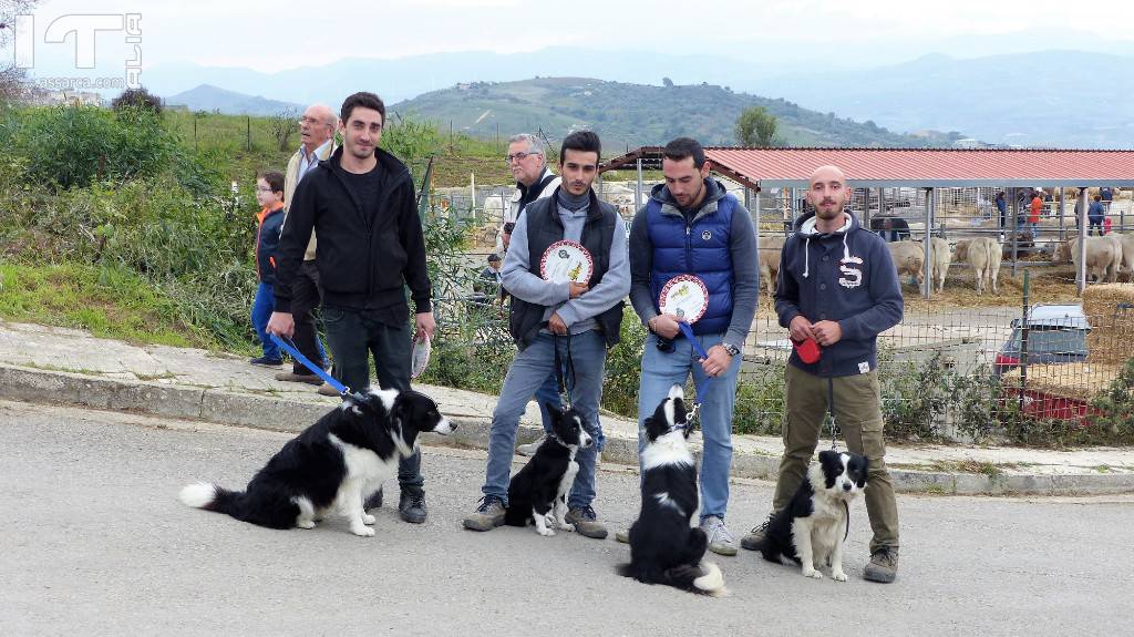 SICILIALLEVA X^ EDIZIONE ALIA CONTRADA BORDONE 12-13-14 OTTOBRE 2018  ULTIMA PARTE