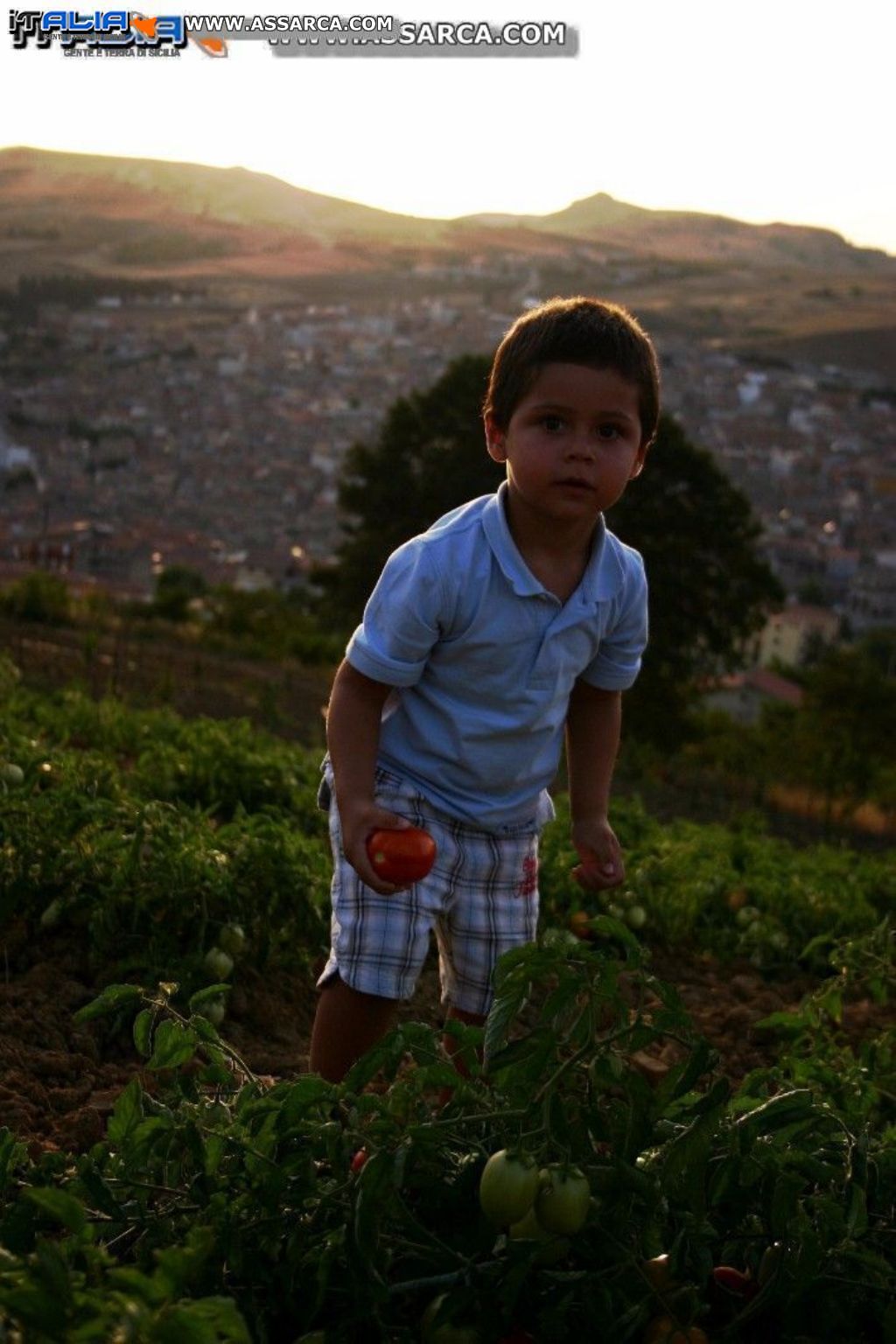 PRIMO CONCORSO FOTOGRAFICO 