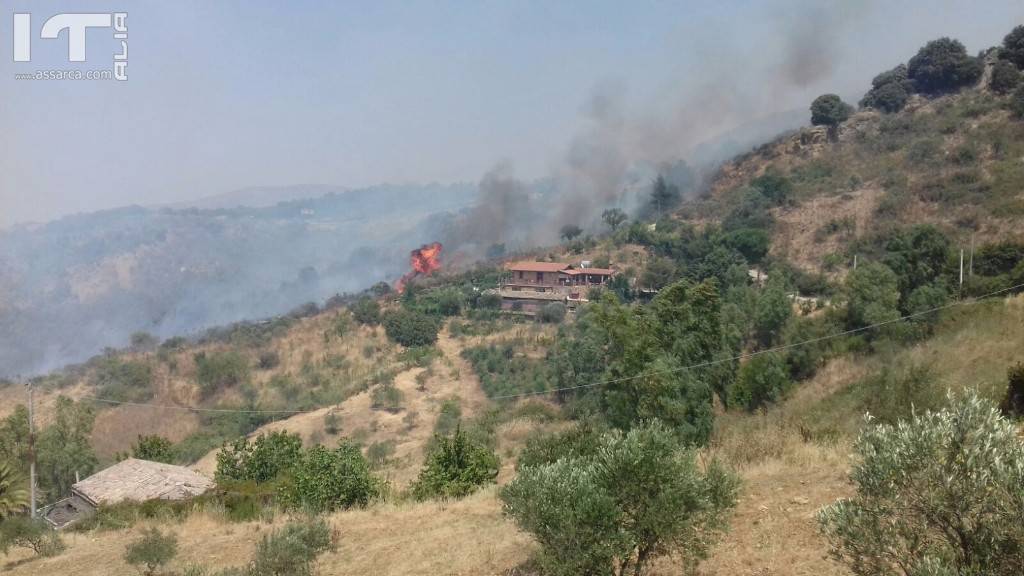 ALIA PIROMANI ALL`OPERA. INCENDI IN DIVERSE ZOBE DEL TERRITORIO