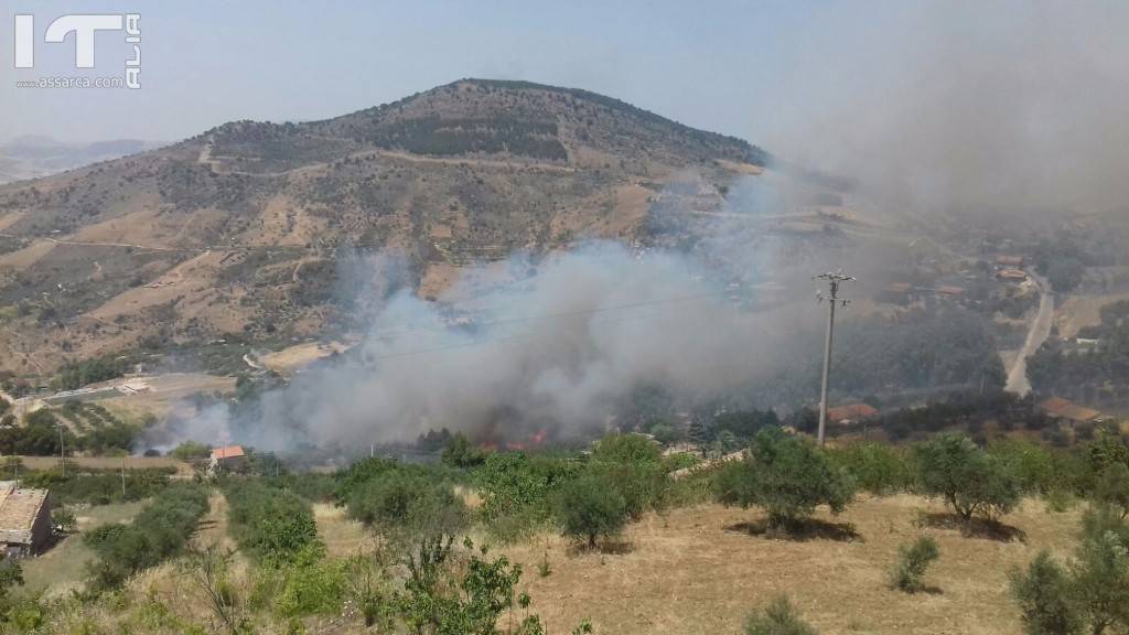 Alia piromani all`opera. Incendi in diverse aree del territorio