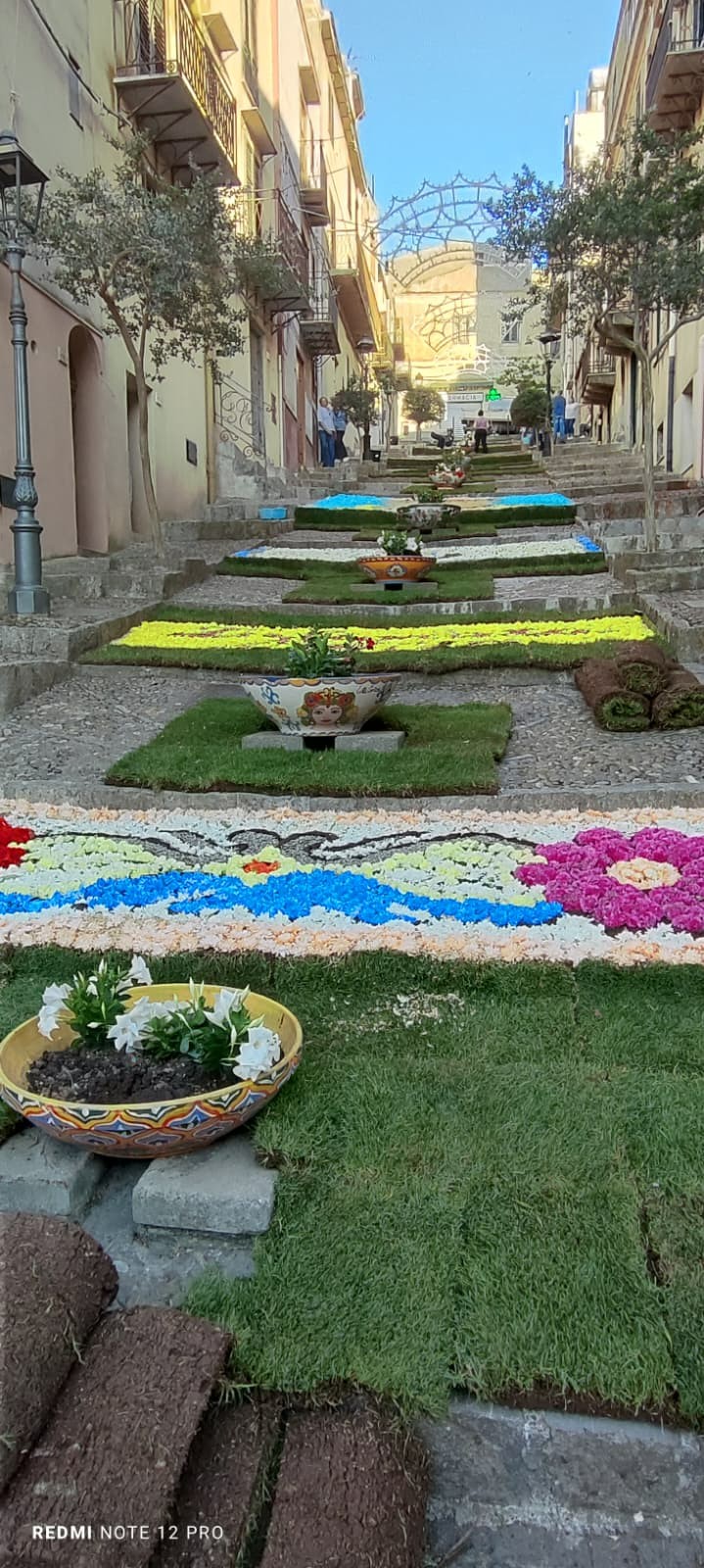 infiorata alia via regina elena 2 luglio 2026