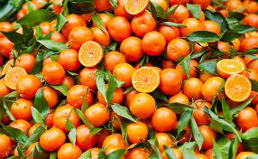 La grande scommessa del limonene, il pesticida naturale ricavato dalle bucce di arance.