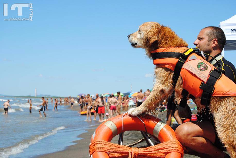  NEL MONDO LE VERE PERSONE SONO GLI ANIMALI.