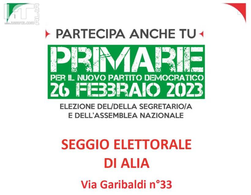 PRIMARIE PER IL NUOVO PARTITO DEMOCRATICO