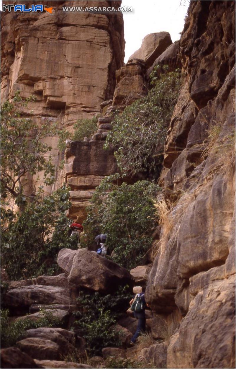 I   DOGON  (MALI) 1984