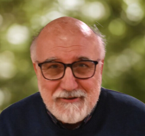 VICARI SANTO