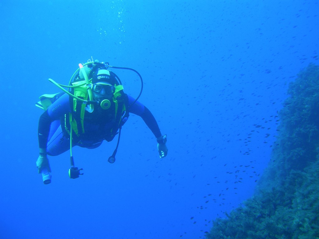 Un dispositivo permetter� ai subacquei di conoscere il relitto che stanno osservando sottoacqua.

Il sistema utilizzato nei sette itinerari archeologici realizzati nel mare di Sicilia