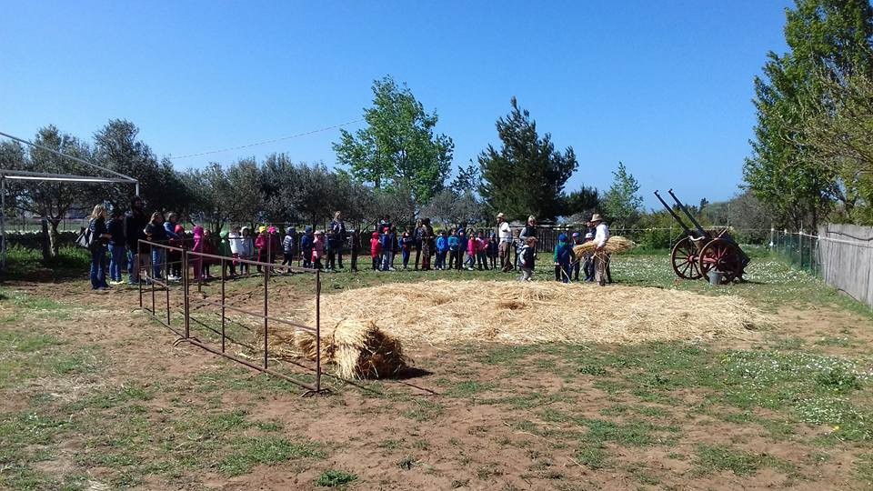 Ragusa prosegue il percorso didattico – culturale dal chicco al pane, intrapreso dall’Associazione “Ricordi di terra nostra”.