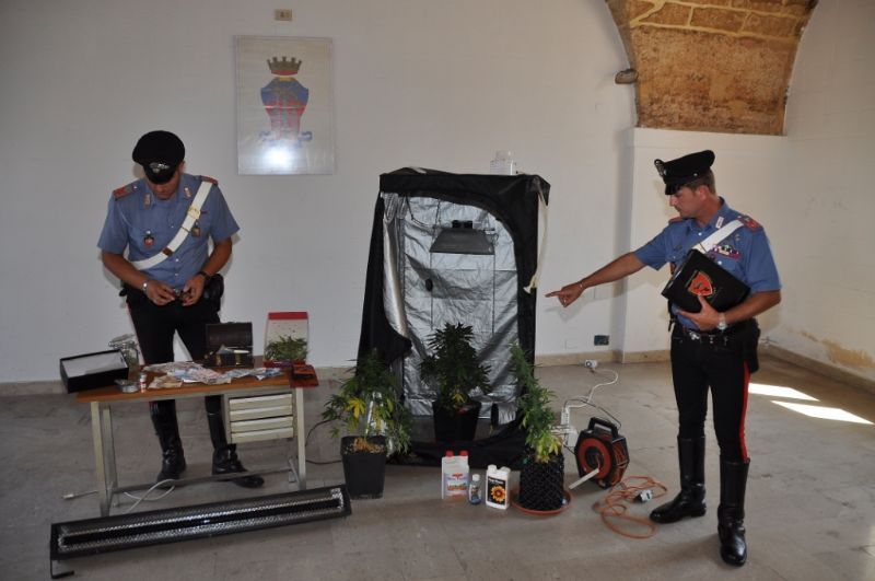PALERMO (PA): Piantagione indoor scoperta dai carabinieri, 21enne arrestato

 
