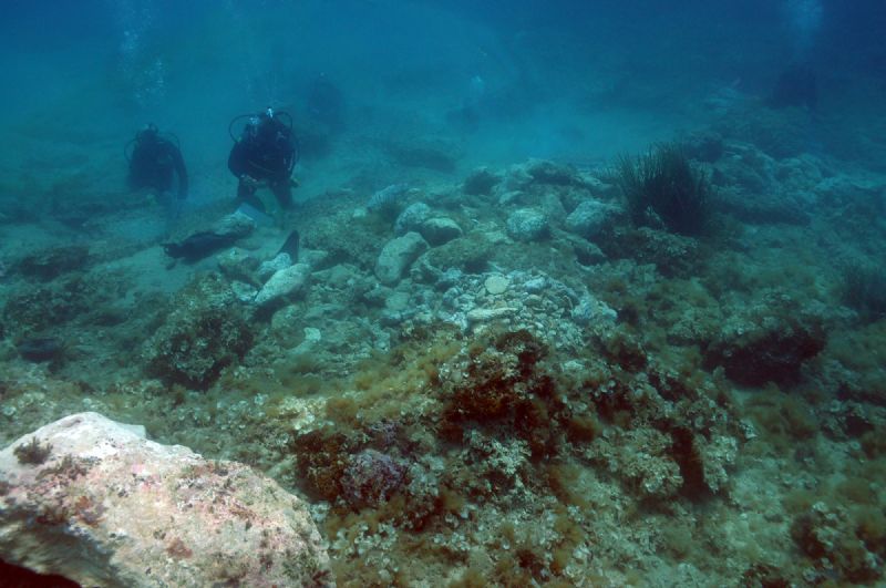 Tutelare i Banchi del Canale di Sicilia per lequilibrio dellecosistema del Mediterraneo. Un incontro di studio promosso dalla Soprintendenza del Mare