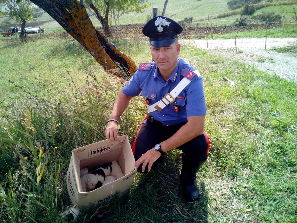 CUCCIOLI ABBANDONATI SALVATI DAI CARABINIERI