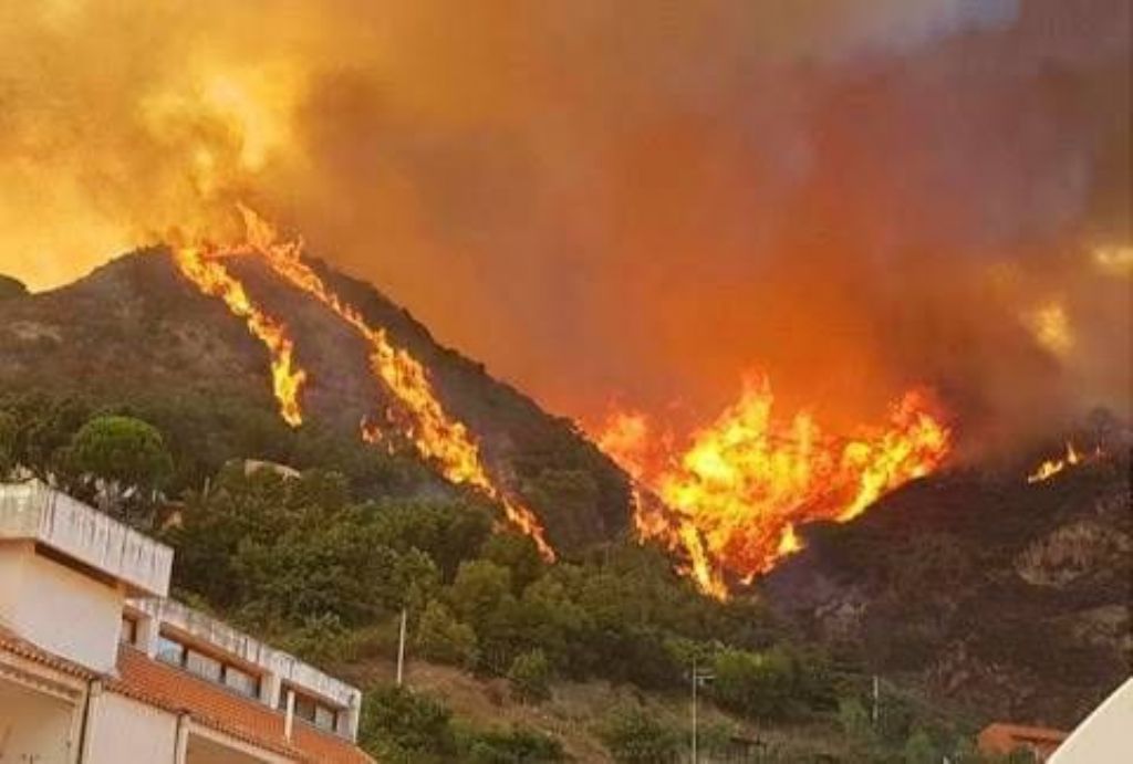 BCsicilia aderisce alla passeggiata contro gli incendi promossa da associazioni ambientaliste per domenica 9 agosto a Monte Cofano
