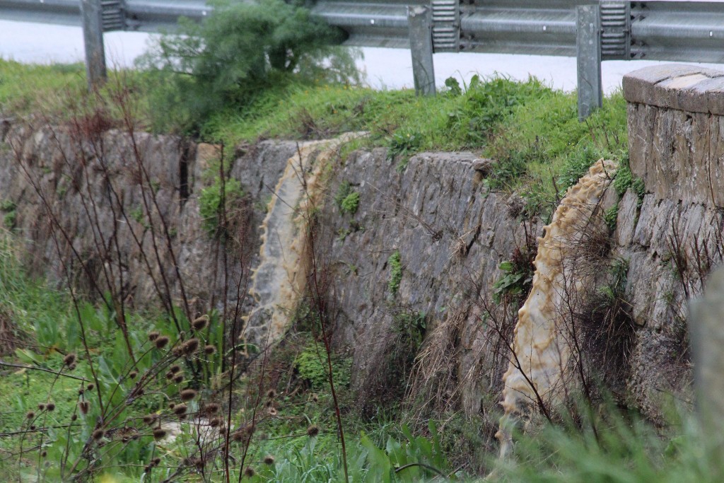 ALIA (PA) - IL CONSIGLIO COMUNALE APPROVA L`ORDINE DEL GIORNO SULLA SITUAZIONE EMERGENZIALE DEL DISSESTO IDROGEOLOGICO DEL TERRITORIO