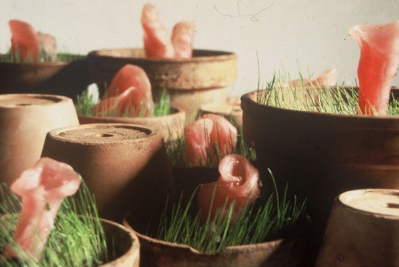 Termini Imerese, lezione del Corso di Storia dell?Arte: Ultime tendenze: l?arte si fa con tutto