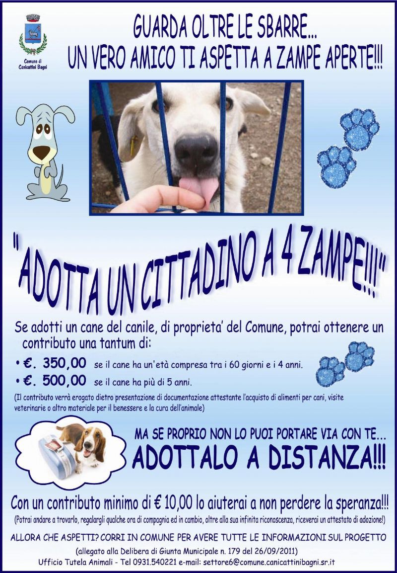 CANICATTINI BAGNI (SR) - UN CONTRIBUTO A FONDO PERDUTO PER CHI ADOTTA UN CANE DEL CANILE CONVENZIONATO CON IL COMUNE, AVVIATA LA CAMPAGNA ANCHE PER LE ADOZIONI A DISTANZA