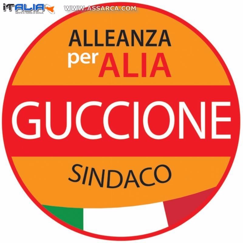 ALIA - richiesta convocazione Urgente Consiglio Comunale O.D.G.: SERVIZIO CIVILE " QUESTIONE TRASPARENZA"