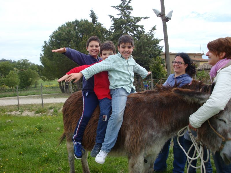 A GANGI IL TERAPEUTA E? L?ASINO